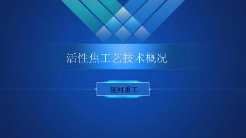 活性焦设备工艺技术概况