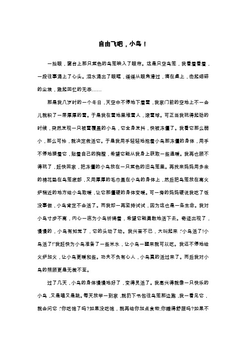自由飞吧,小鸟!_五年级叙事作文