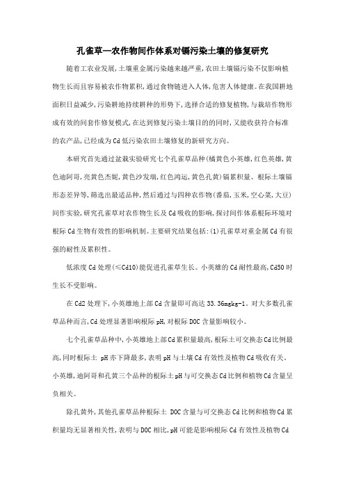 孔雀草—农作物间作体系对镉污染土壤的修复研究
