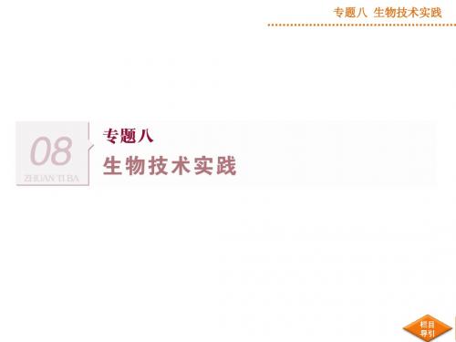 高考生物二轮专题复习：8.1《生物技术在食品加工中的应用》ppt课件(36页)