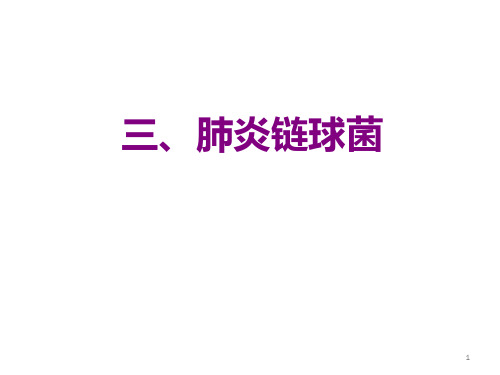 肺炎链球菌