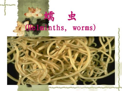 医学蠕虫学总论