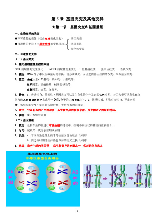 必修2 第五章-基因突变及其他变异