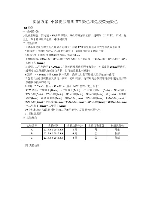 小鼠皮肤组织HE染色,免疫荧光染色
