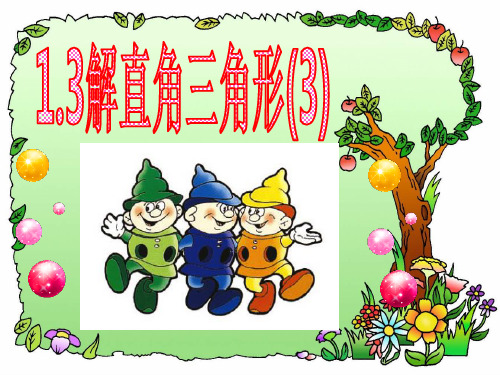 1.3 九下浙教版解直角三角形(3)