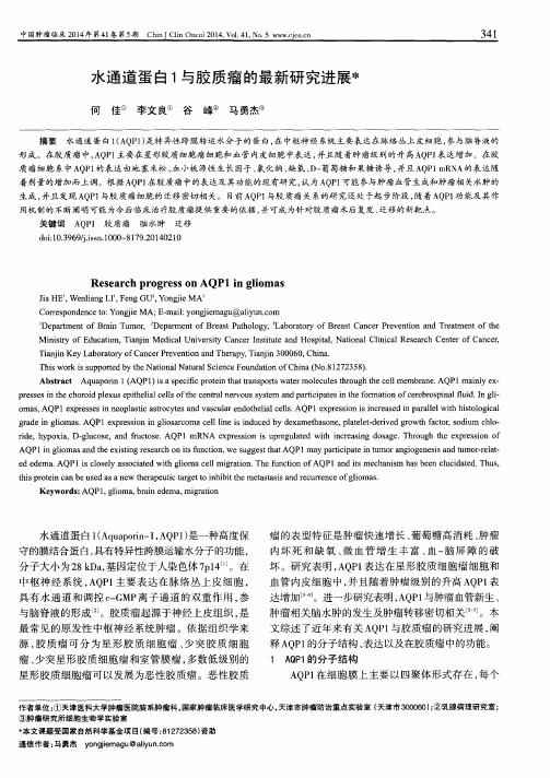 水通道蛋白1与胶质瘤的最新研究进展
