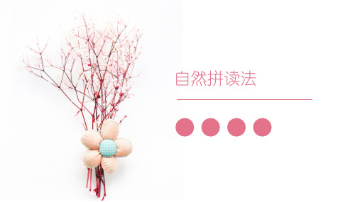 中学英语课件自然拼读法