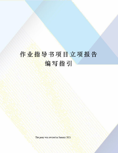 作业指导书项目立项报告编写指引