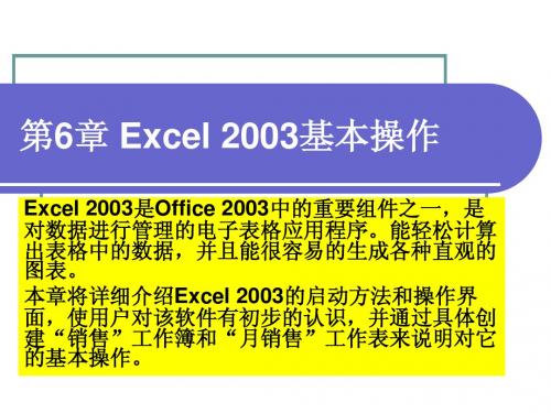 第6章Excel 2003基本操作