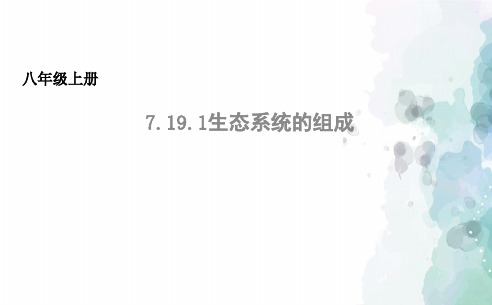 苏教版生物-八年级上册7.19.1生态系统的组成课件