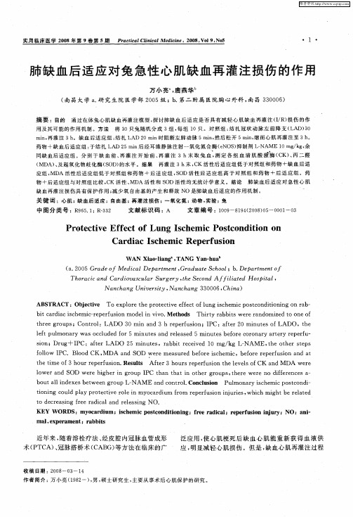 肺缺血后适应对兔急性心肌缺血再灌注损伤的作用
