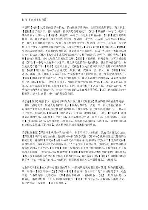 多肉新手扫盲篇