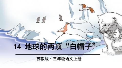 14《地球的两顶“白帽子”》课件