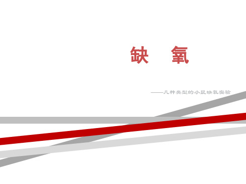 几种类型的小鼠缺氧实验.ppt