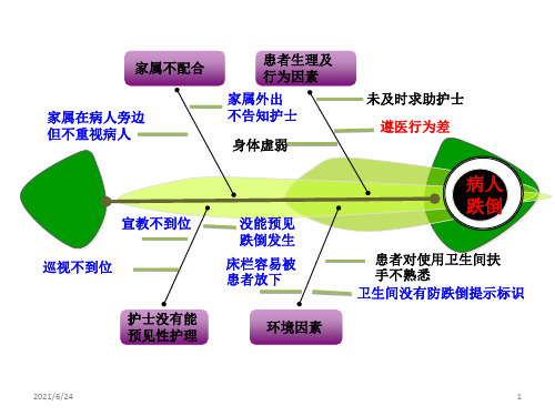 鱼骨图1PPT课件
