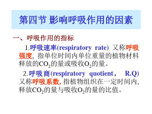 影响呼吸作用的因素