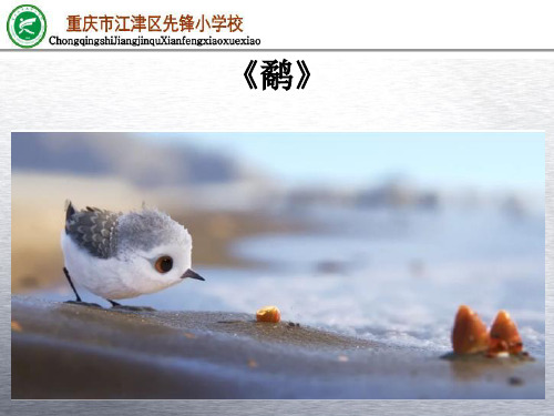 学会自立《鹬》