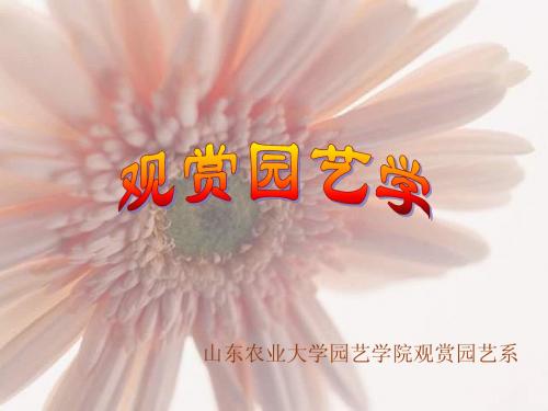 观赏园艺学1