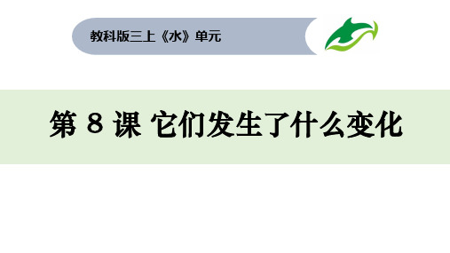 教科版小学三年级科学上册1-8它们发生了什么变化(课件)