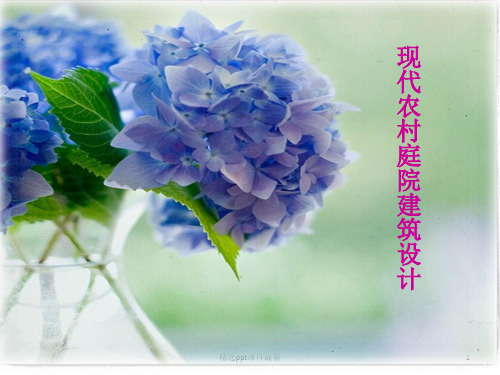 农村庭院设计PPT课件