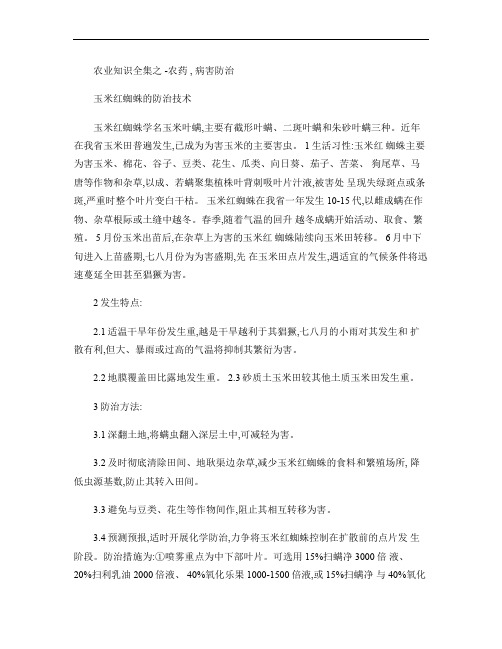玉米红蜘蛛的防治技术.