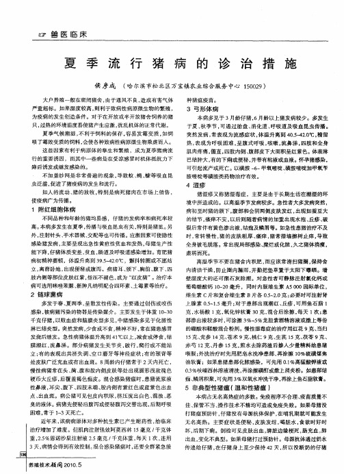 夏季流行猪病的诊治措施