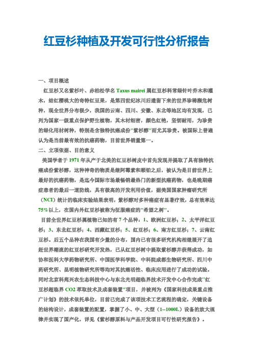 红豆杉种植及开发可行性分析报告