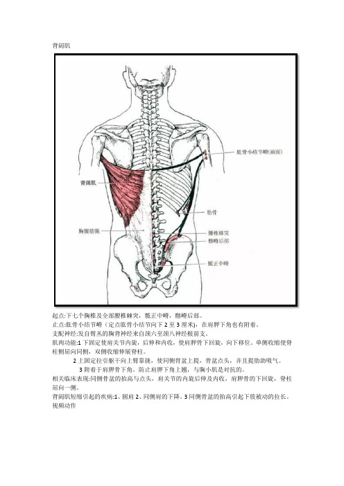 医匠传承,背阔肌的评估和诊断