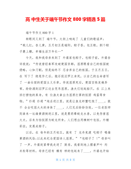 高 中生关于端午节作文800字精选5篇