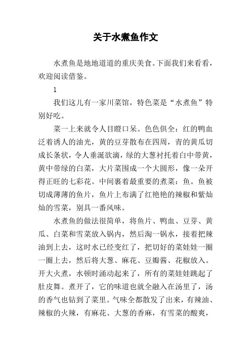 关于水煮鱼作文