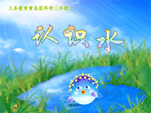 青岛版小学科学三年级上册精品课件《认识水》
