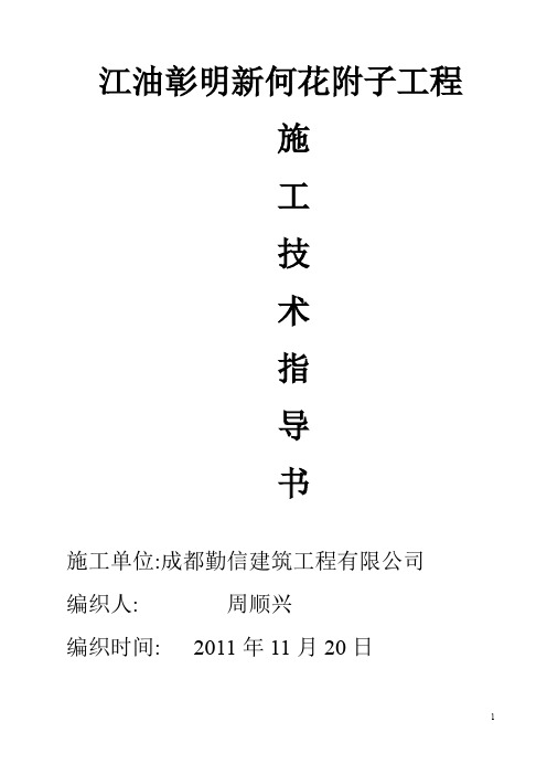技术指导书