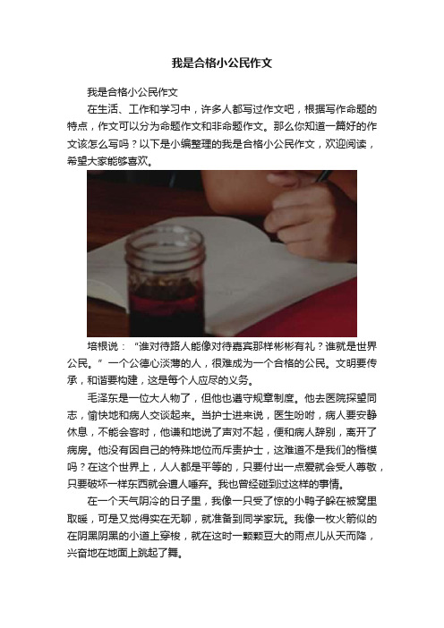 我是合格小公民作文