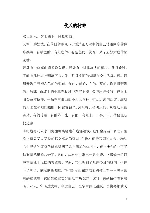秋天的树林_2