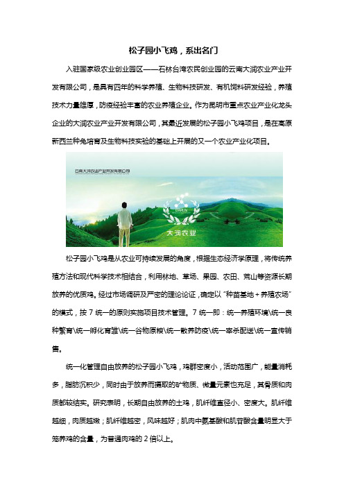 小飞鸡,出自名门的健康尚品