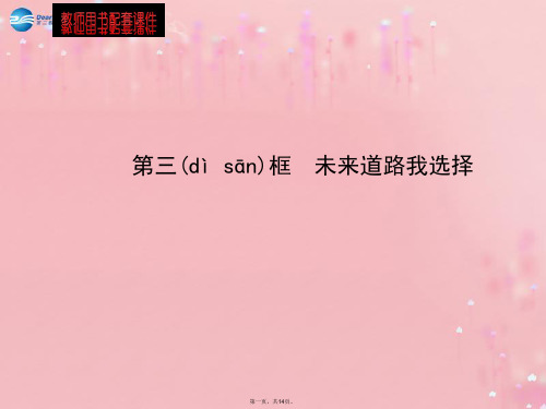 九年级政治全册 第4单元 第10课 第3框 未来道路我选择配套课件 新人教版