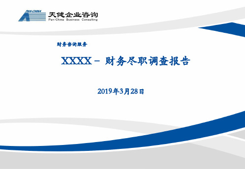 2019.天健咨询.参考尽调报告