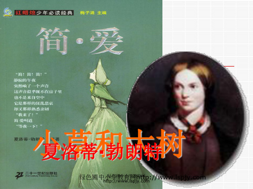 苏教版小学语文六年级上册《小草和大树》精品PPT课件