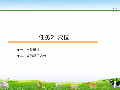 中兽医兽医穴位