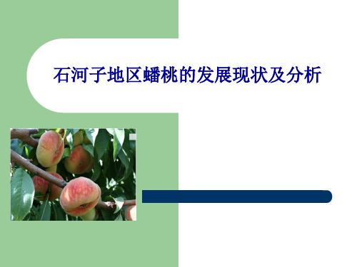 蟠桃现状及发展分析