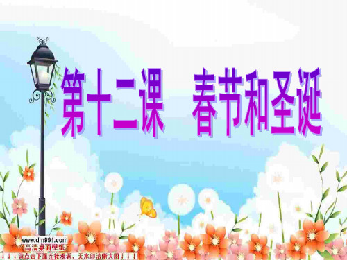苏教版六年级品德与社会春节和圣诞课件