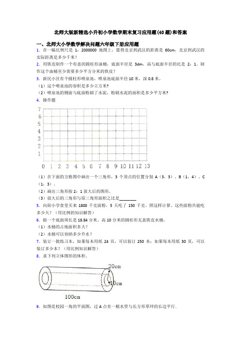 北师大版新精选小升初小学数学期末复习应用题(40题)和答案