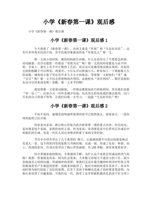 小学《新春第一课》观后感