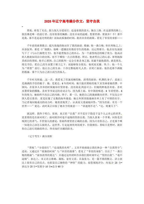 辽宁省2020年高考语文满分作文 坚守自我素材