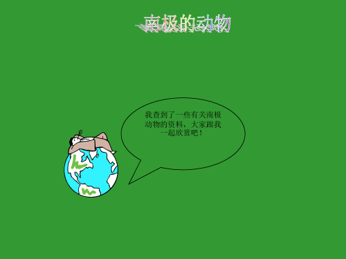 南极动物