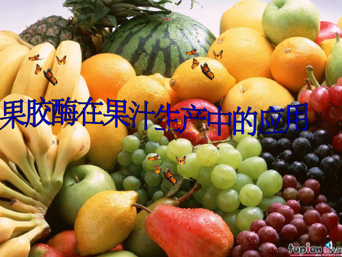 果胶酶