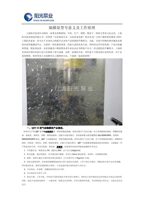 隔膜泵型号意义及工作原理