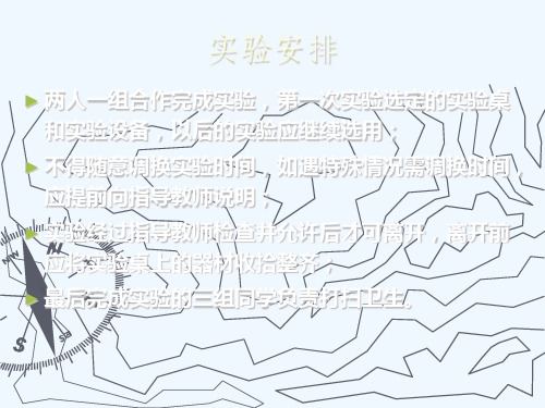 数字信号处理实验