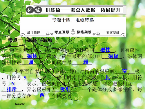 中考物理专题复习 十四 电磁转换物理课件