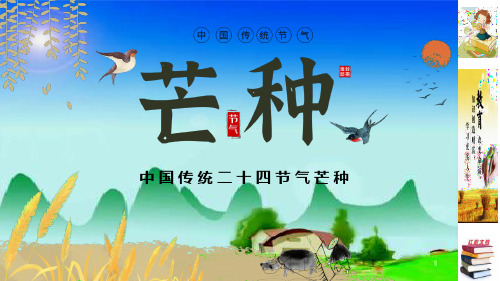 中国风二十四节气芒种习俗介绍PPT模板